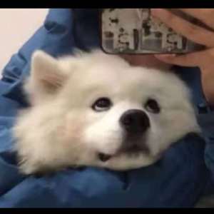 ❌❌❌❌日本人A片抢劫
