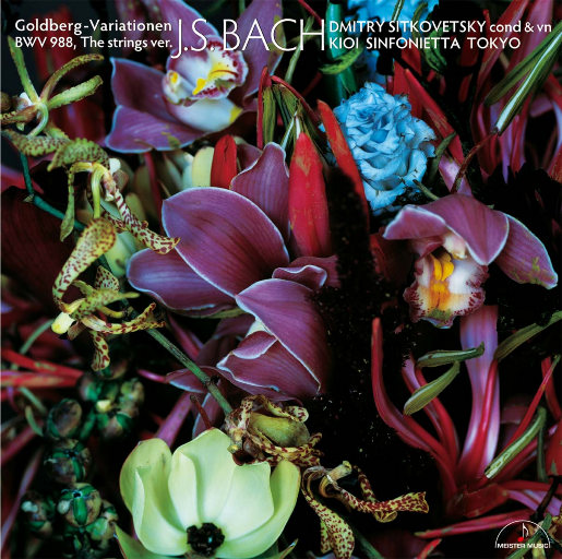 ❌❌❌❌日本人A片抢劫
